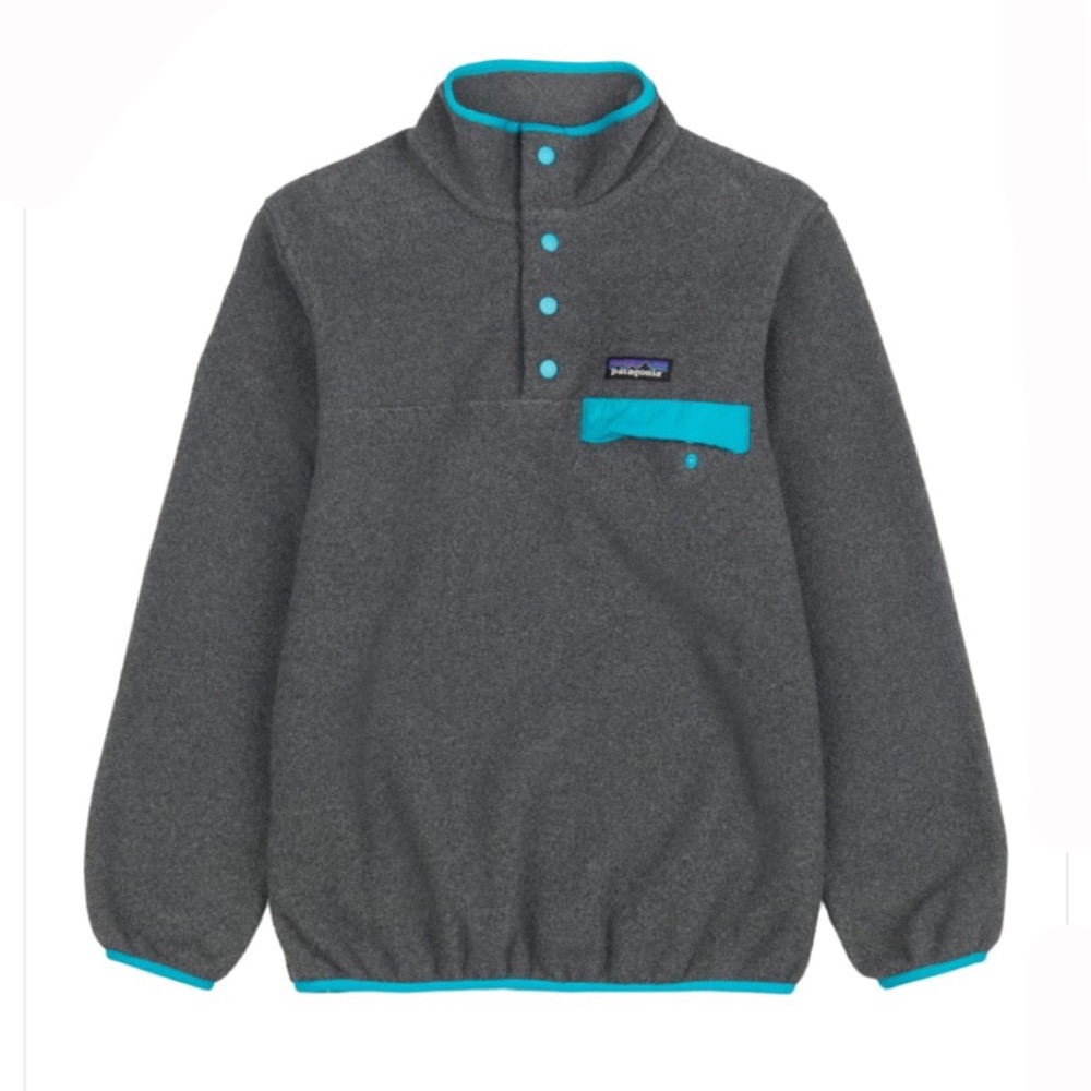 Teal and Gray Patagonia Synchilla